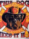 11. Feuerwehrhund*